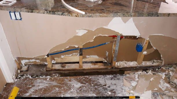 Best Water damage cleanup near me  in La Porte, TX