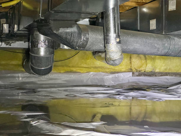 Best Flood restoration services  in La Porte, TX
