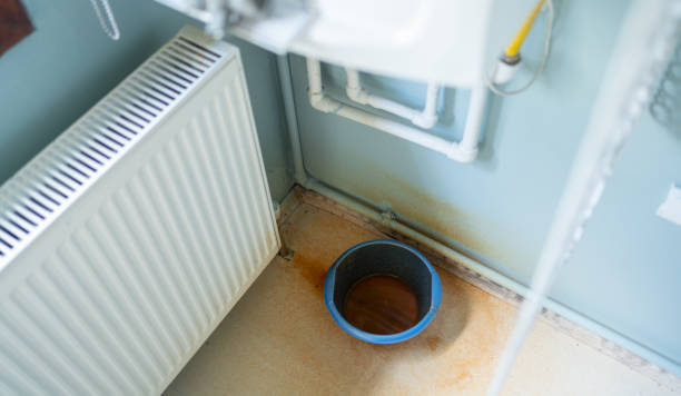 Best Professional water damage repair  in La Porte, TX