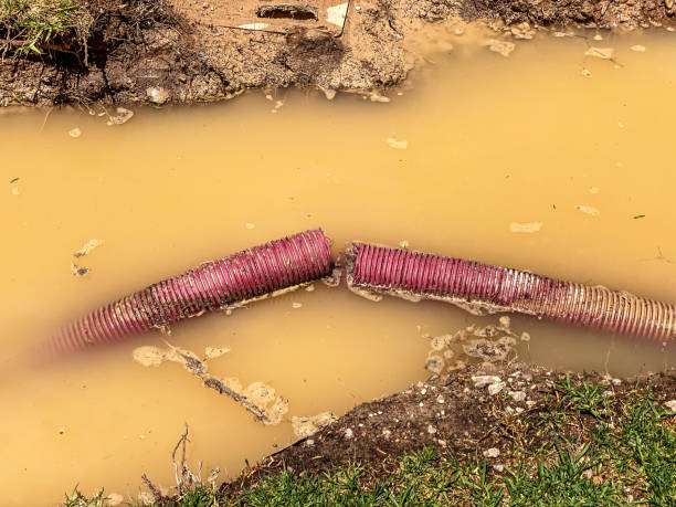 Best Sewage cleanup and water damage restoration  in La Porte, TX